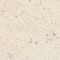 GSL 1206